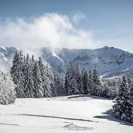 Renove A 150m Des Remontees, Terrasse Et Parking Couvert - Fr-1-569-126 شقة