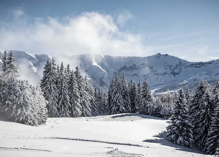 Renove A 150m Des Remontees, Terrasse Et Parking Couvert - Fr-1-569-126 *